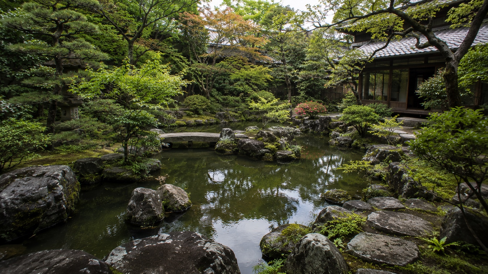 日本庭園 池